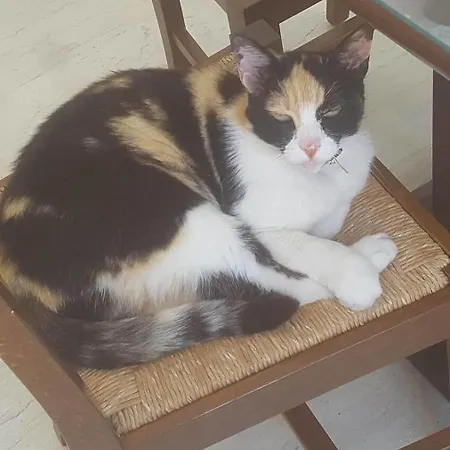 Отель Philoxenia 3*