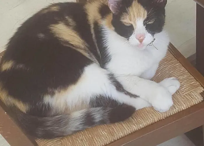 Ξενοδοχείο Philoxenia 3*