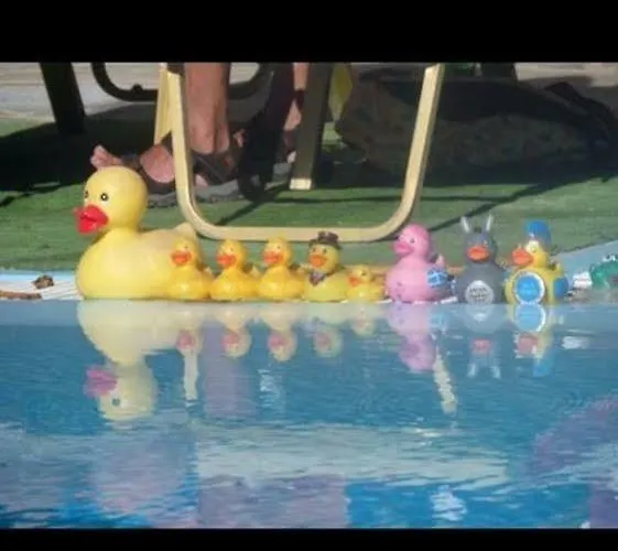 Philoxenia Перисса